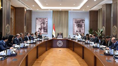 مصطفى مدبولي يلتقي وزير الاستثمار بدولة الإمارات العربية المتحدة