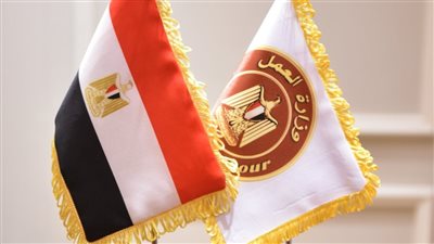 وزارة العمل في 10 سنوات: تشغيل أكثر من 7 ملايين منهم 29 ألفًا و784 من ذوي الهمم، البطالة تنخفض من 13.3 % إلى 7 %..قاعدة بيانات العمالة غير المنتظمة تضم الآن 1.156562 عامل