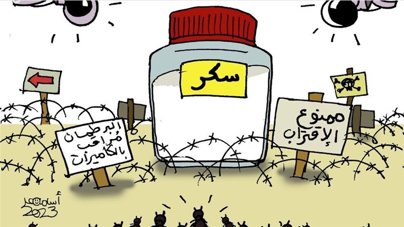 ازاى تبعد النمل عن