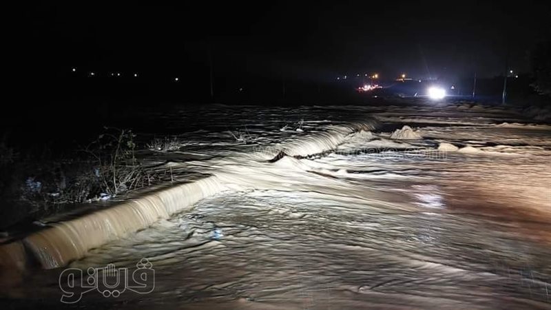 سيول مطروح، فيتو