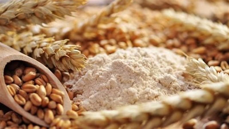 اسعار الدقيق،فيتو
