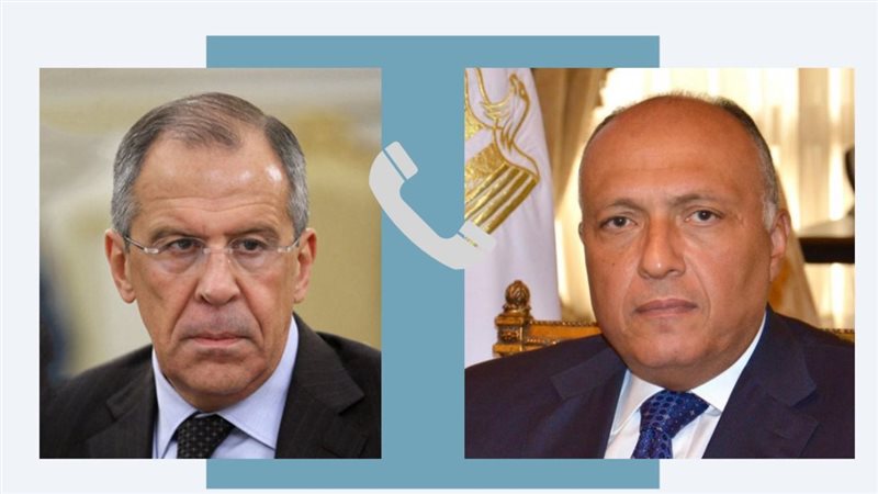 سامح شكرى ونظيره