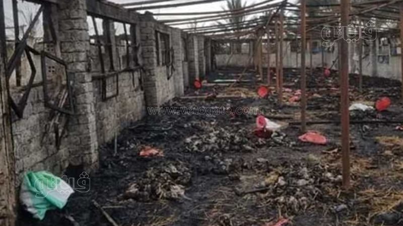 حريق مزرعة بالشرقية،