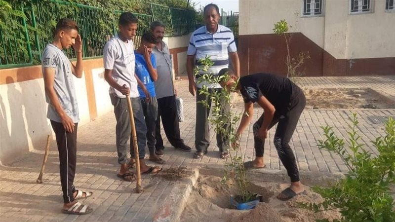 تنفيذ مشروع التشجير،