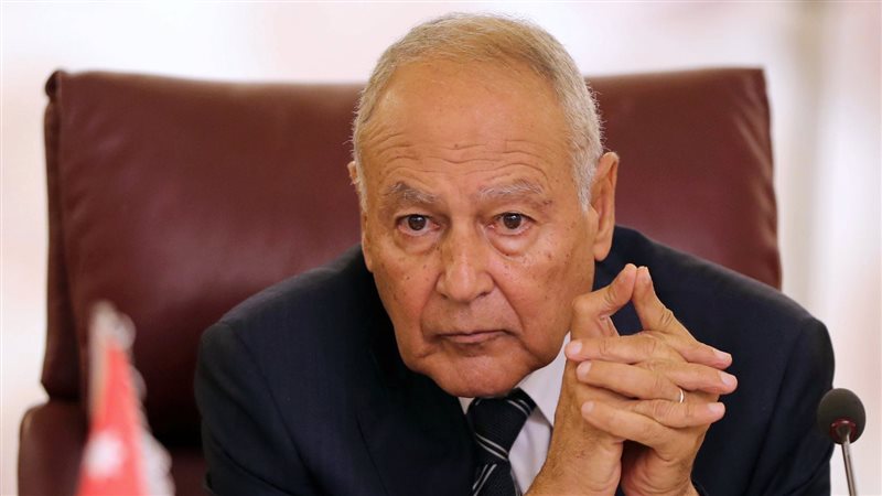 أحمد أبو الغيط، فيتو