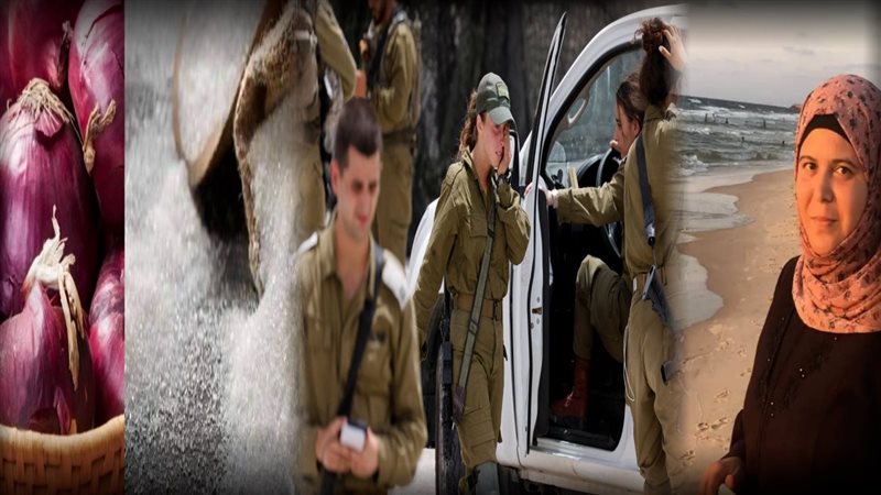  لقتلى الجنود والضباط