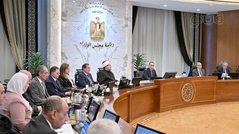مجلس الوزراء، فيتو