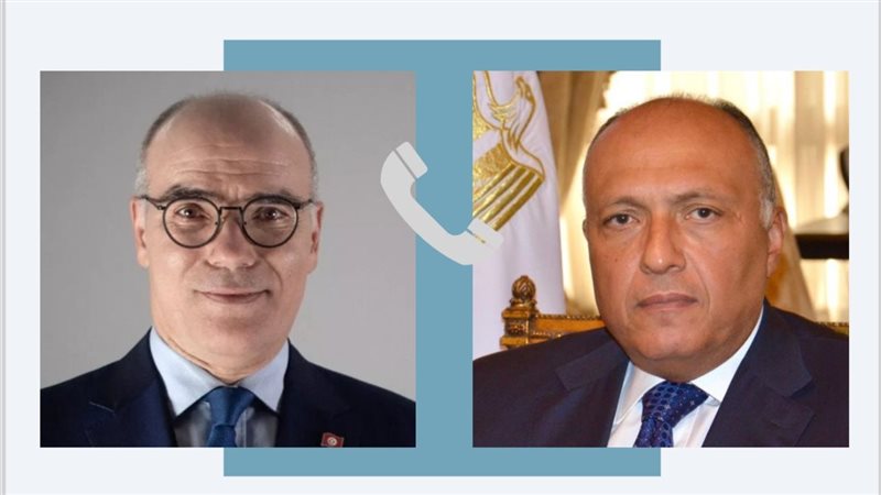 وزير الخارجية سامح