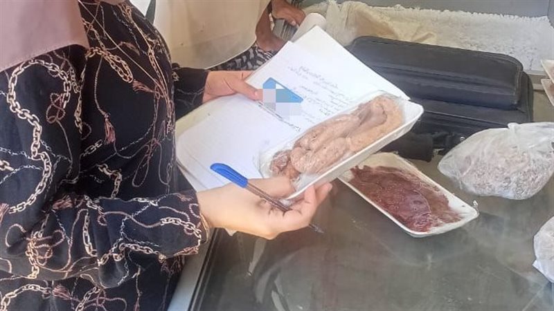 الحملات التفتيشية،