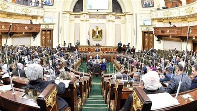 تفاصيل تقرير البرلمان بشأن تعديل قانون سجل المستوردين