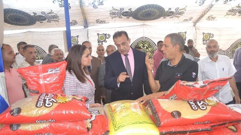 نائب محافظ البحيرة،