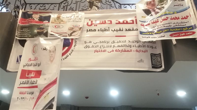 الدعاية الانتخابية