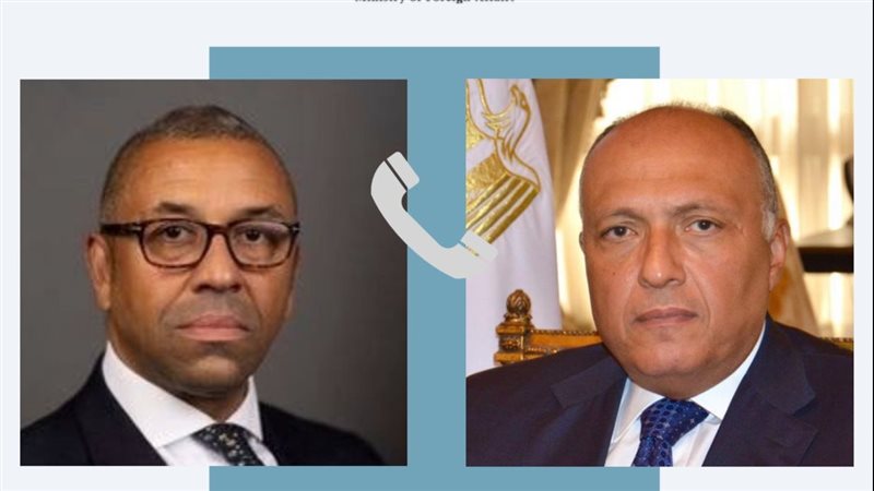 سامح شكرى وزير الخارجية،