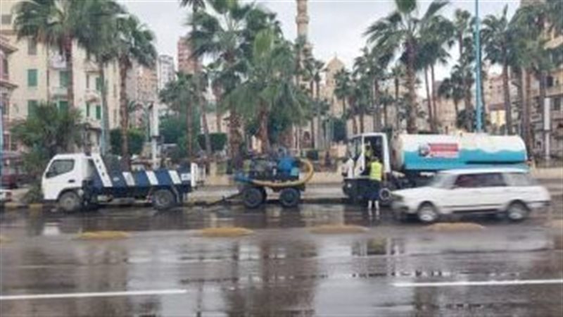 الإسكندرية،فيتو