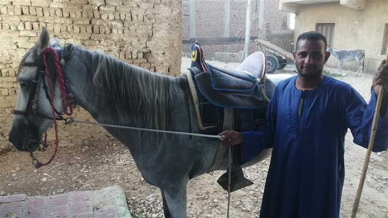 حمادة محمود أحد مربي