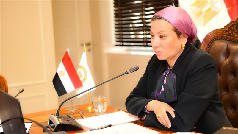 الدكتورة ياسمين فؤاد