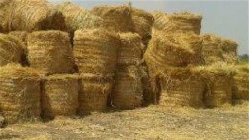 منظومة تدوير قش الأرز،