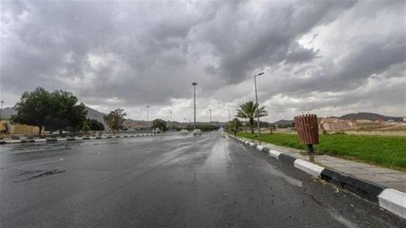 حالة الطقس اليوم،فيتو
