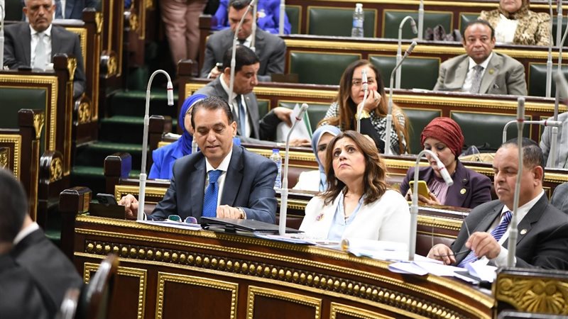 مجلس النواب،فيتو