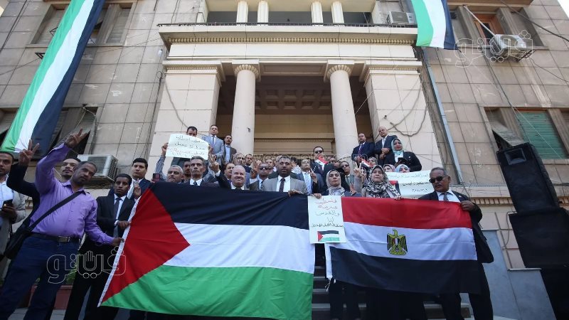 وقفة المحامين التضامنية