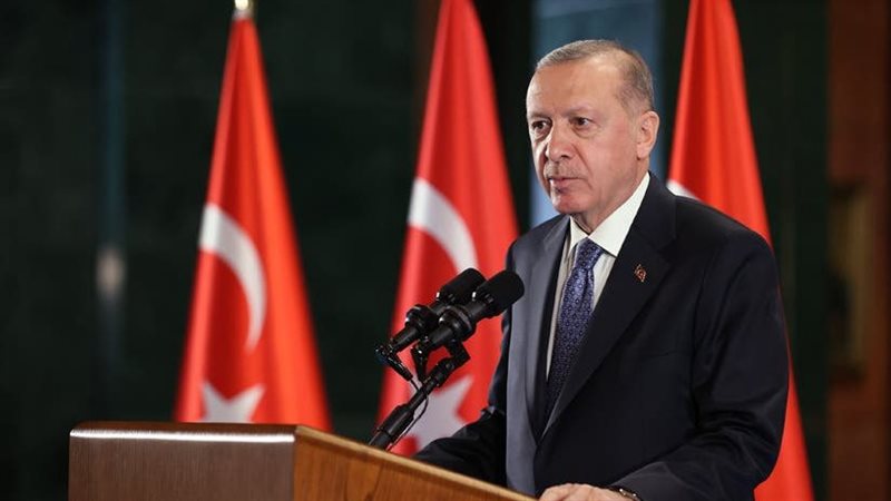 اردوغان، فيتو 