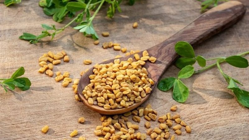 فوائد الحلبة، فيتو