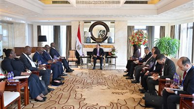 مدبولي يلتقي رئيس البنك الأفريقي للتصدير والاستيراد ببكين