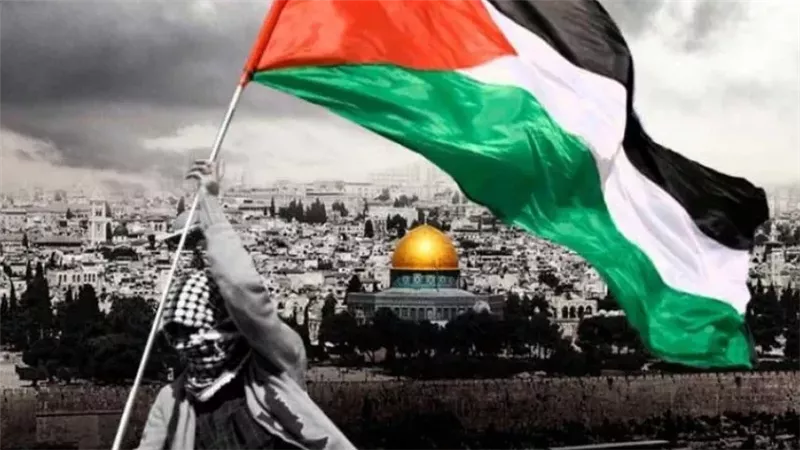 علم فلسطين، فيتو