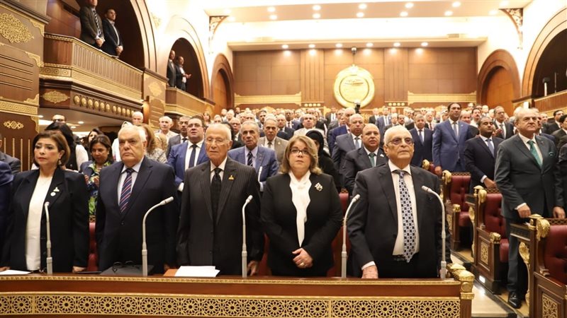 مجلس الشيوخ، فيتو