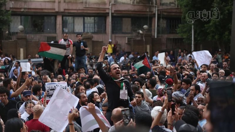 تظاهرات لدعم فلسطين،فيتو