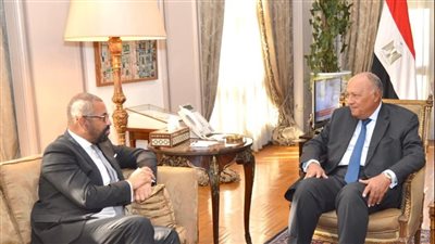سامح شكري لنظيره البريطاني: نؤكد على ضرورة وقف الحرب الدائرة في غزة