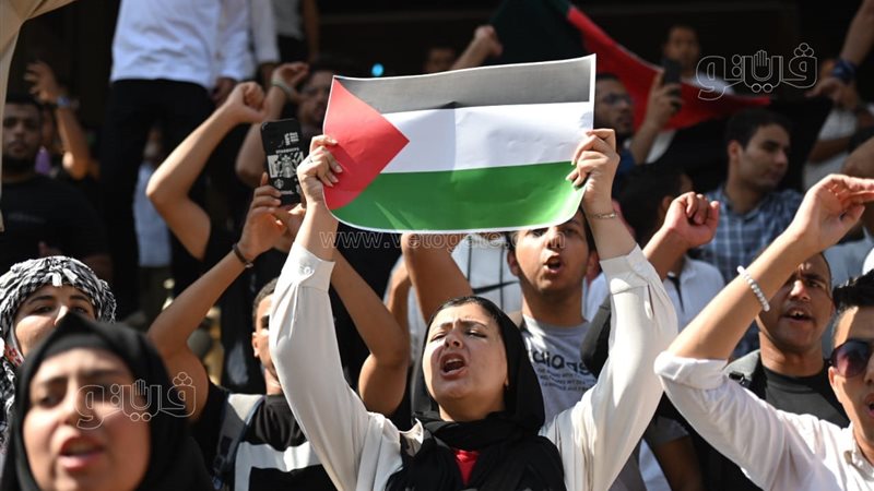 طلاب جامعة القاهرة،فيتو