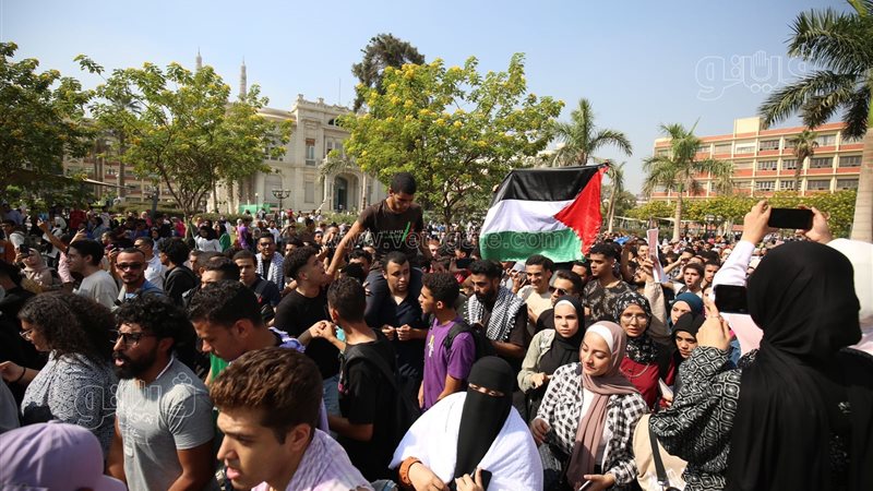 جامعة عين شمس، فيتو