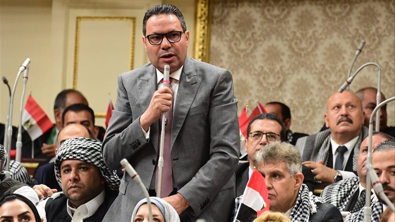 النائب هشام الحصرى،