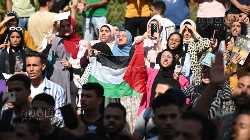 جامعة القاهرة،فيتو