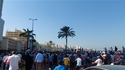 مسيرة القائد إبراهيم لدعم فلسطين تصل المرسي أبو العباس (صور) 