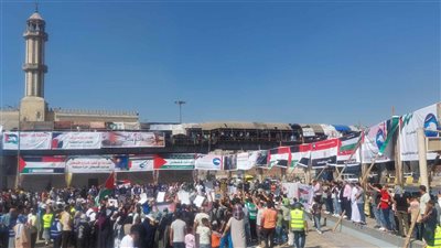 نعش وجنازة رمزية لشهداء غزة في شبرا الخيمة (فيديو)