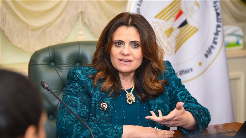  السفيرة سها جندي،فيتو