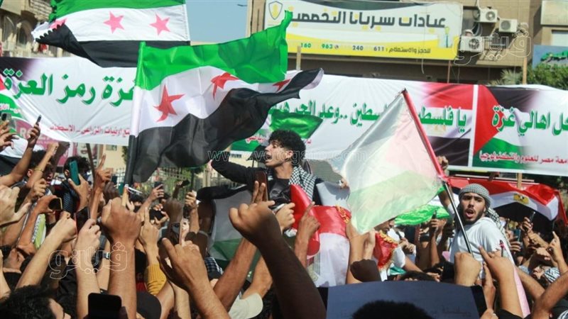 المظاهرات الداعمة