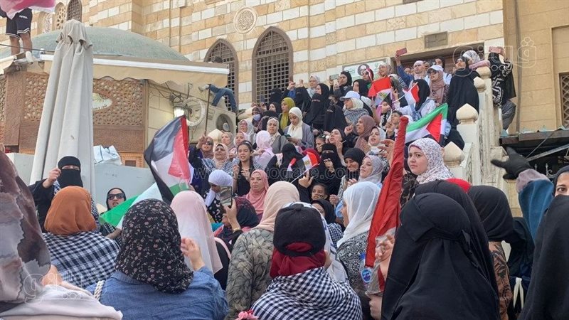 المظاهرات الداعمة