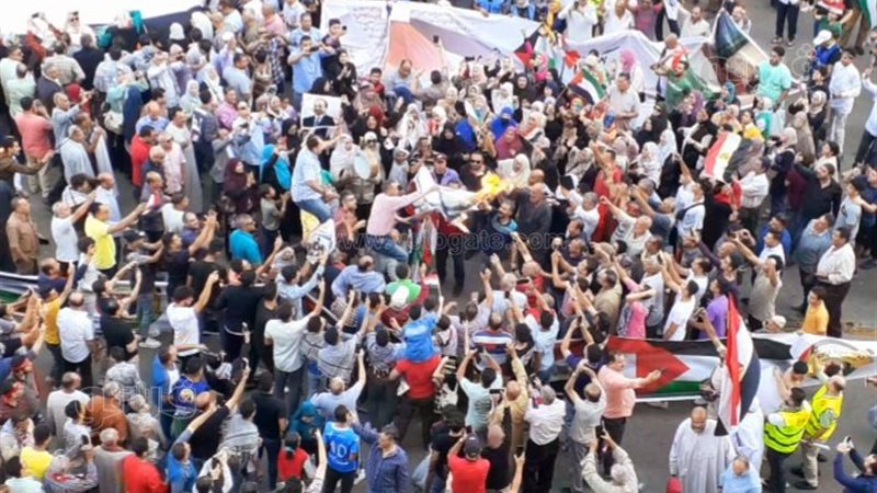 اختجاجات مناهضة لاسرائيل،فيتو