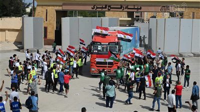 عفاف الجوهري: وفرنا أدوية ضرورية لأهالي غزة (فيديو) 