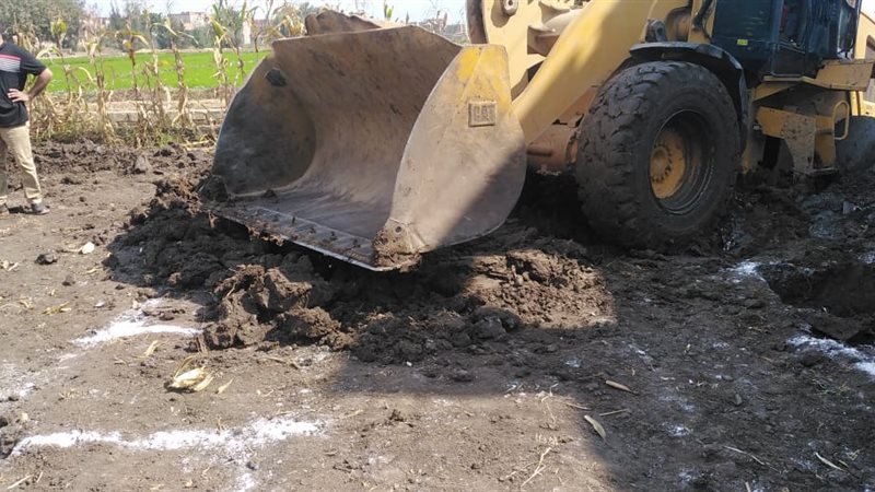  إزالة التعديات بالبحيرة،فيتو