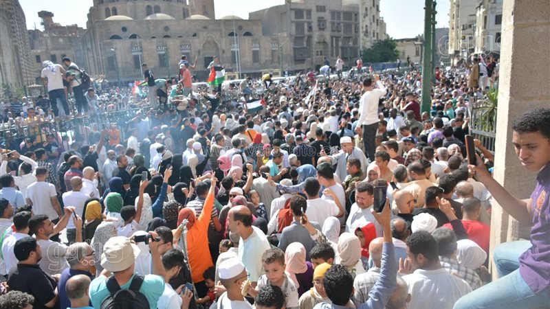 مظاهرة، فيتو
