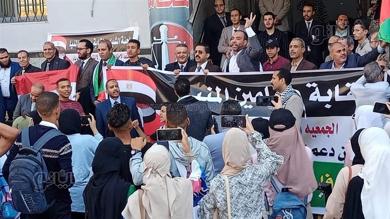 محامي المنيا ينظمون