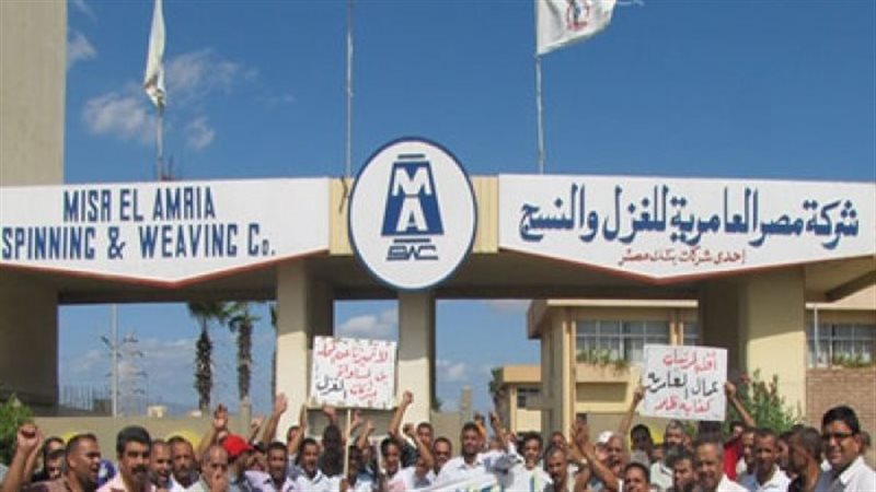  شركة مصر العامرية