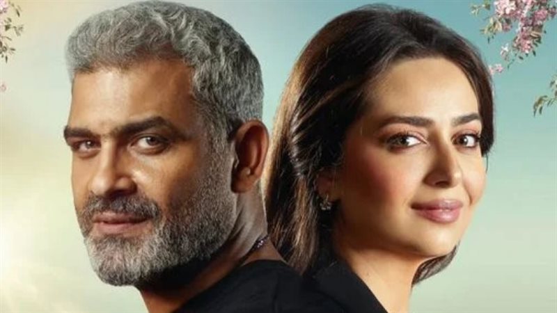 هبة مجدي وهاني عادل،