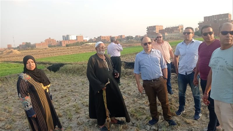الدكتور علي أبو سنة،