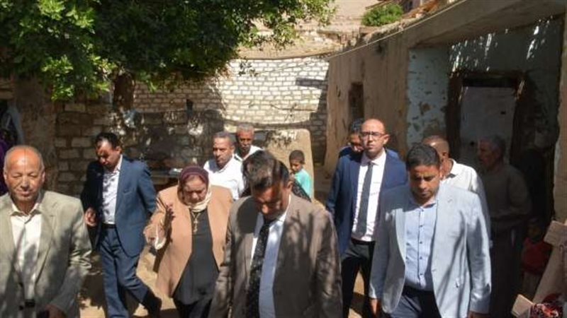 جامعة عين شمس، فيتو