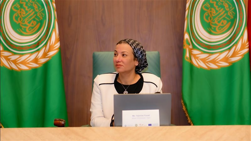 الدكتورة ياسمين فؤاد